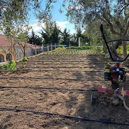 Signor Cesare Agrobistrot *