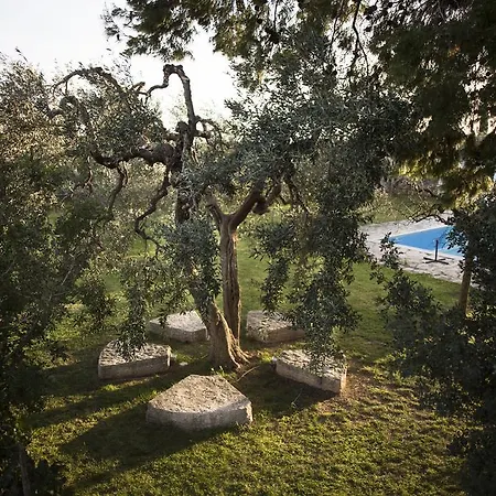 Signor Cesare Agrobistrot *