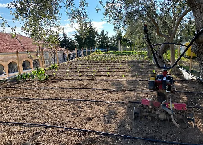 Signor Cesare Agrobistrot *